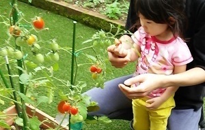 20160713_090011_HDR.jpg